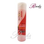 شامپو تقویت کننده شون با عصاره میوه ای حجم ۴۰۰ میل