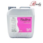 اکسیدان گالنی جدید پادینا نمره ۱(۶ درصد) حجم ۴ لیتر