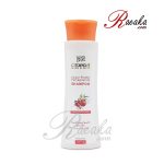 شامپو تثبیت کننده رنگ موی سینره مخصوص موهای رنگ شده حجم ۲۵۰ میلی لیتر