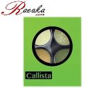 سایه چشم چهارتایی کالیستا کد E24 وزن خالص ۲٫۵*۴ گرم