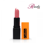 رژ لب جامد کالر ریچ کالیستا کد L56 حجم ۴ میلی لیتر