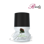 مام رول مردانه سینره مدل Pine Scent حجم ۵۰ میلی لیتر