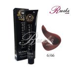 رنگ موی آوایی سری آلبالویی- آلبالویی متوسط- شماره 6/66 حجم 120 میلی لیتر