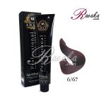 رنگ موی آوایی سری بادمجانی- بلوند بادمجانی تیره- شماره 6/67 حجم 120 میلی لیتر