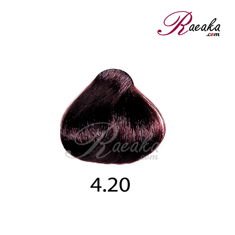 رنگ موی بیجورکا سِری شرابی- شماره 4.20 (شرابی تیره) حجم 100 میلی لیتر - 2