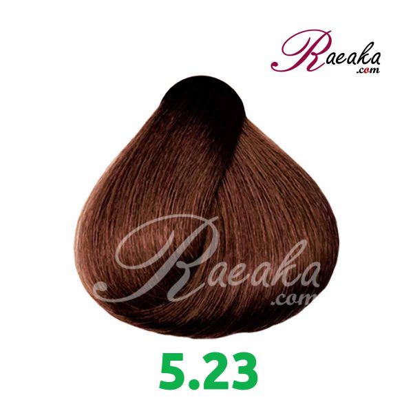 رنگ موی بدون آمونیاک گارنیک- شماره 5.23 (قهوه ای فندقی روشن) حجم 100 میلی لیتر - 2