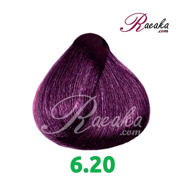 رنگ موی گارنیک سِری شرابی- شماره 6.20 (بلوند شرابی تیره) حجم 120 میلی لیتر - 2