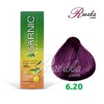 رنگ موی گارنیک سِری شرابی- شماره 6.20 (بلوند شرابی تیره) حجم 120 میلی لیتر