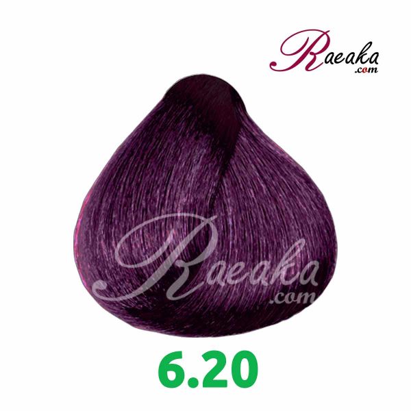رنگ موی بدون آمونیاک گارنیک- شماره 6.20 (بلوند شرابی تیره) حجم 100 میلی لیتر - 2