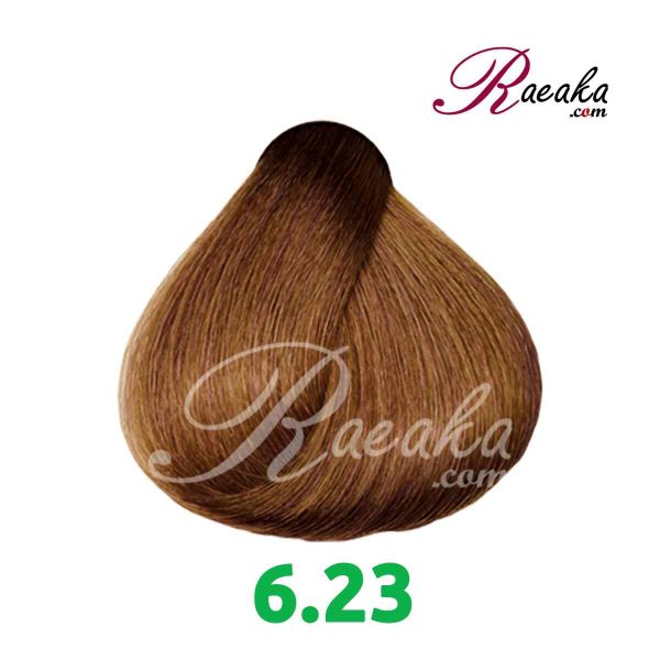 رنگ موی گارنیک سِری فندقی- شماره 6.23 (بلوند فندقی تیره) حجم 120 میلی لیتر - 2