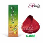 رنگ موی گارنیک سِری قرمز قوی- شماره 6.888 (قرمز آتشین) حجم 120 میلی لیتر