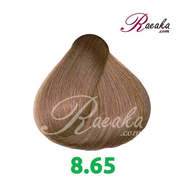 رنگ موی گارنیک سِری شکلاتی- شماره 8.65 (بلوند شکلاتی روشن) حجم 120 میلی لیتر - 2