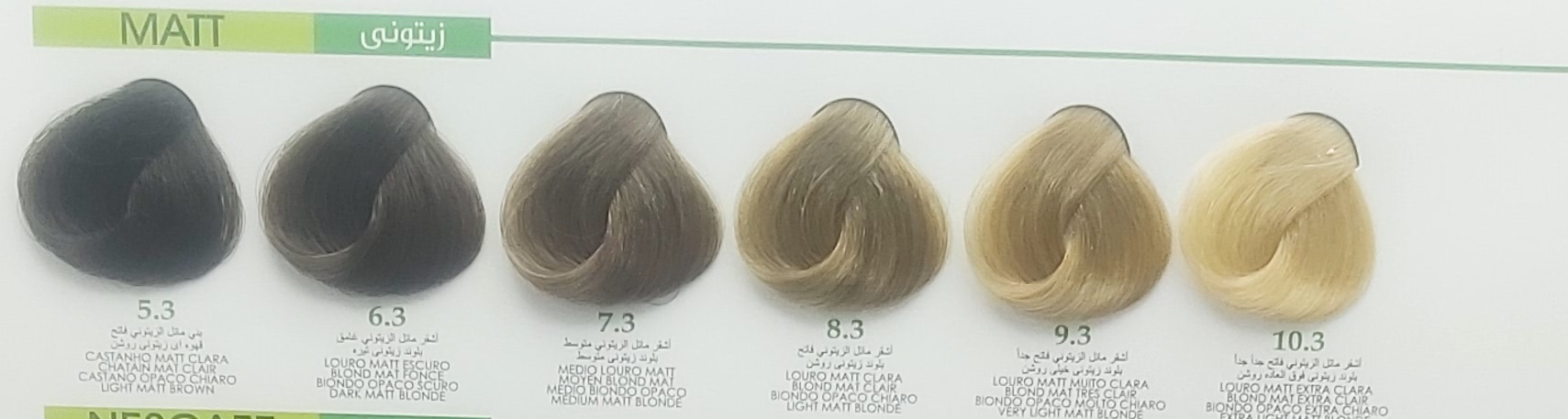 رنگ مو گارنیک- زیتونی