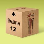 پکیج 12 عددی رنگ مو پادینا